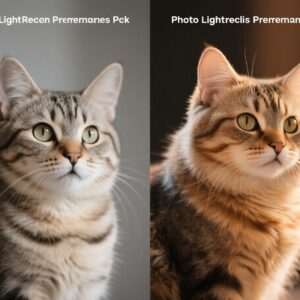 Cat Photo Lightroom Presets